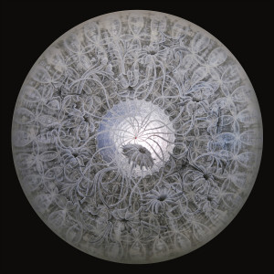 Superposition | 2013 | portfolio 2013