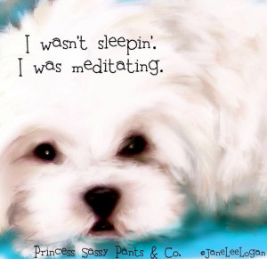 Sleeping dog quote via www.Facebook.com/PrincessSassyPantsCo