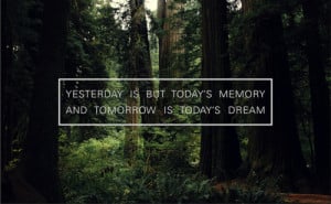 forest, quote, text, today, tomorrow