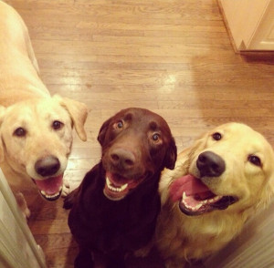 The 3 Musketeers. :)