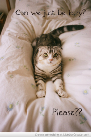 caturday laziness, cute, quote, quotes, weekend
