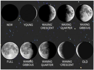 moon phases