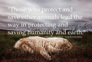 Protect animals