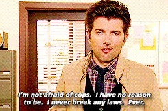 my stuff parks and recreation parks and rec ben wyatt adam scott and ...