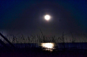 Full Moon Over Ocean Night