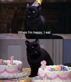 Salem from Sabrina the Teenage Witch and my little sister agree lol ...