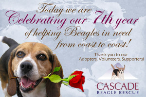 Mar, Mon 5th, 2012 Posted in : CBR Blog , Rescue Revealed By : Beagle ...