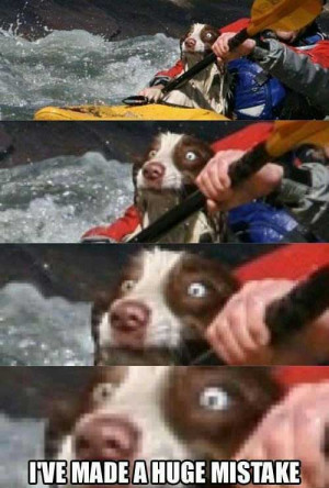 dog goes white water rafting