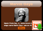 Marvin Gaye quotes