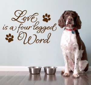 Vinyl Quote Wall Decoration - Love Animals decal Quote