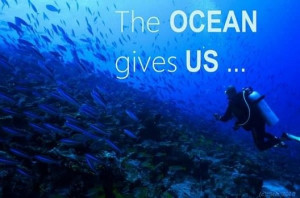 Give back to the ocean