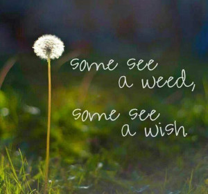 Perspective - My daughter calls them 