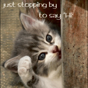 Just stopping by to say Hi >