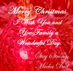 20 Merry Christmas Quotes 2014