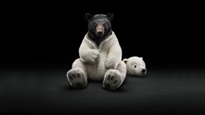 Teddy Bear Wallpaper Funny Picture Which is very Humorous and This ...