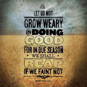 ... for at the proper time we will reap a harvest if we do not give up