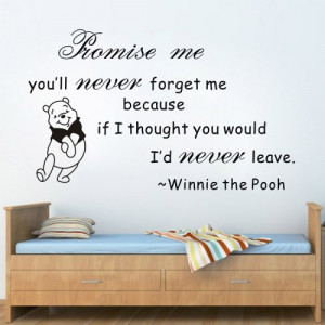Promise Me You'll Never Forget Winnie The Pooh