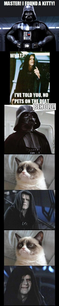 Funny Star Wars Grumpy Cat Picture Death Star