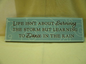 DIY plaque-life isn't about surviving the storm quote