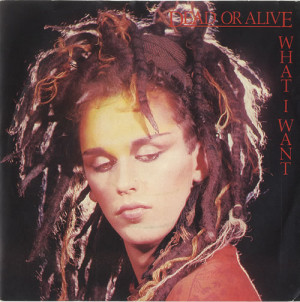 Dead Or Alive, What I Want - Dreadlock Sleeve, UK, Deleted, 7