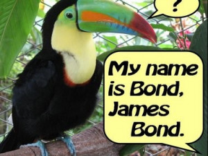 Top five James Bond quotes