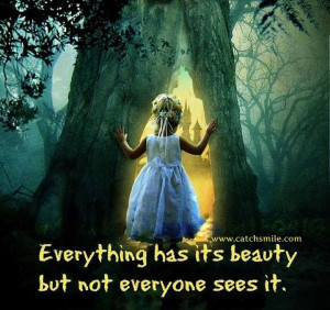 Everything Has Its Beauty - But Not Everyone Sees It | All Quotes ...