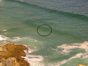 ... Bay, CT 15 min ago on a surfer. Shark 4.5m in the surf. Surfer on rock