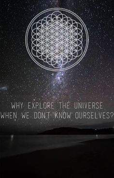 Bring Me the Horizon Quotes