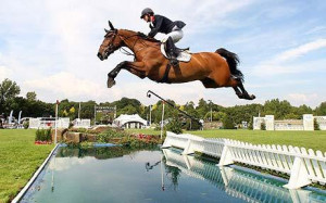 suddenly thought why not a show jumping water jump
