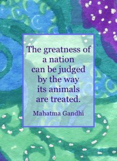 Vegetarian Quotes and Sayings