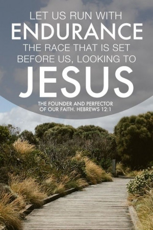 Let us run with endurance the race that is set before us, looking to ...
