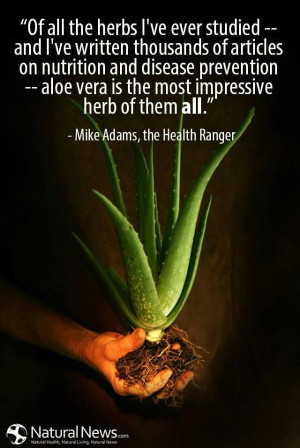 Aloe Vera #health #healthy #benefits #plant #healing