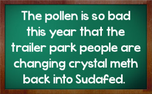 The pollen is so bad this year that the trailer park people are ...