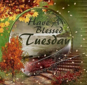 Have a Blessed Tuesday Quotes