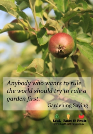 Anybody who wants to rule the world should try to rule a garden first ...