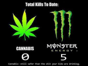Legalize Weed, It only Makes Sense…