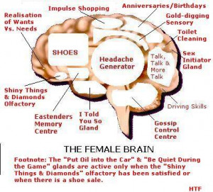 Funny Female Brain Pictures Activities For Students