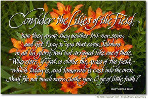 Consider the Lilies of the Field, how they grow; they neither toil nor ...