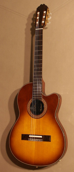 Gruhn Guitars Chet Atkins...