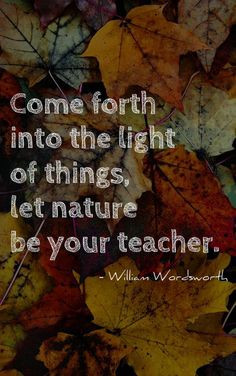 Into The Light Things Let Nature Your Teacher Quot Quotes Parade