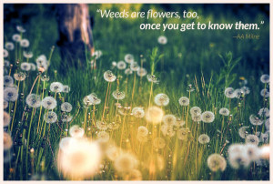 April Showers Bring May Flowers…And Weeds!