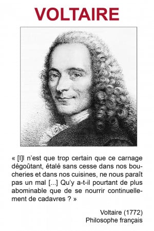 Quotes Voltaire Francais ~ Quotes Voltaire Francais ~ Voltaire ...