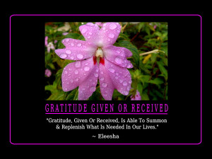 Gratitude Quotes and Affirmations by Eleesha [www.eleesha.com]