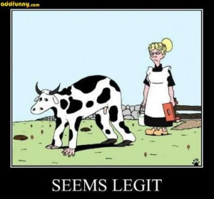 Best Of, “Seems Legit” Pictures – 45 Pics