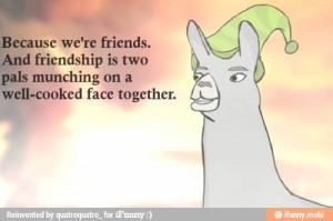 Llamas with hats friendship quote