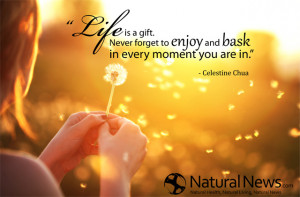 ... forget to enjoy and bask in every moment you are in.
