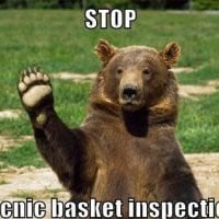yogi-bear-stops-you-for-inspectation.jpg