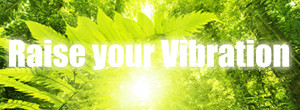 Raise your Vibration and Live Your Most High Vibe Life