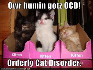funny ocd pictures, crazy cat lady