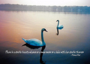 Early Morning Quote Photograph
